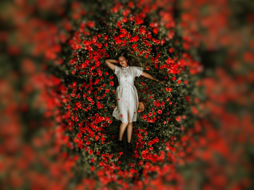funky focus blur on image of woman laying in field of red flowers