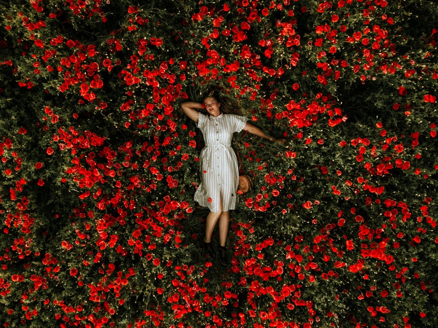 woman laying in field of red flowers