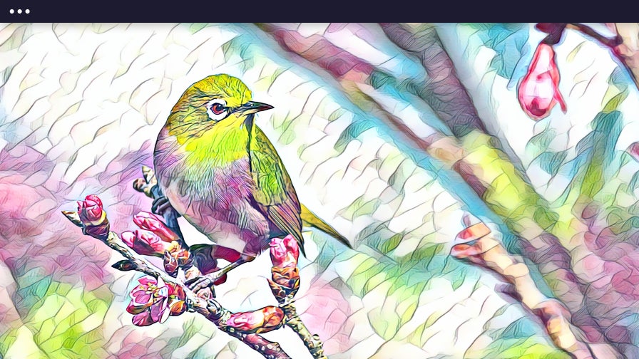 Photo of a bird sitting on a branch with Watercolor DLX 1 Artsy effect applied