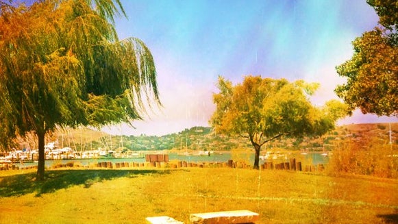 The background for a summer barbecue invitation, showing the effect.