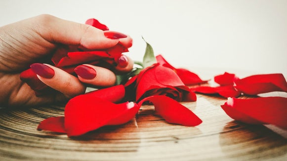 Petal, Plant, Flower, Blossom, Person, Human