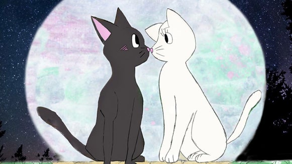 Black Cat, Cat, Mammal, Pet, Animal