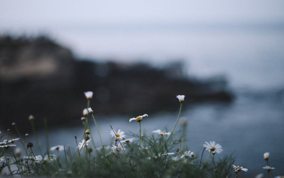 what is depth of field