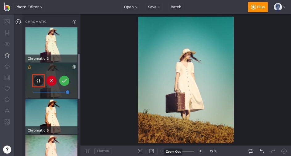customizable photo effects in BeFunky Photo Editor