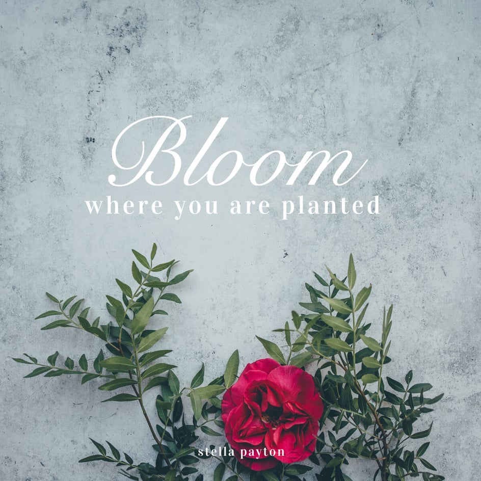 how to design instagram quotes