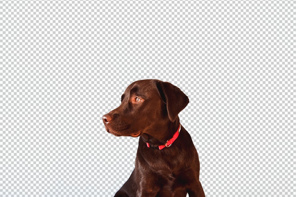 how to create transparent background and cut out photo