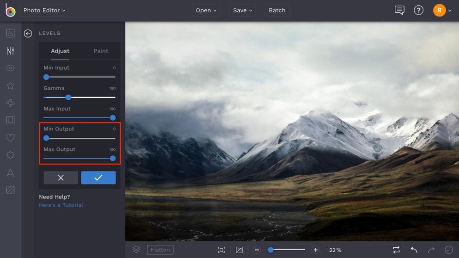 how to use BeFunky Levels tool