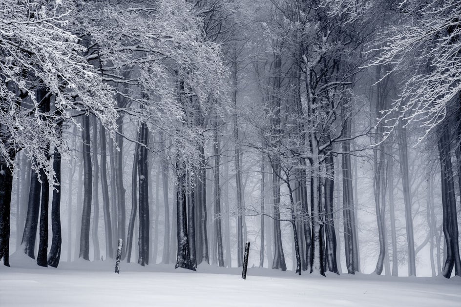 winter photography tips