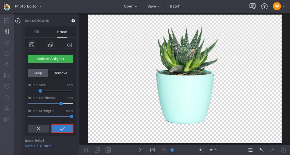 how to erase background from photo in BeFunky