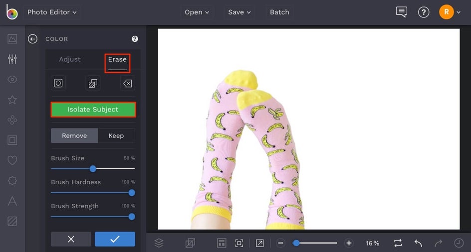 Isolate Subject tool in BeFunky Photo Editor