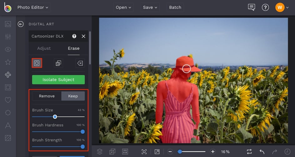 how to mask objects in BeFunky