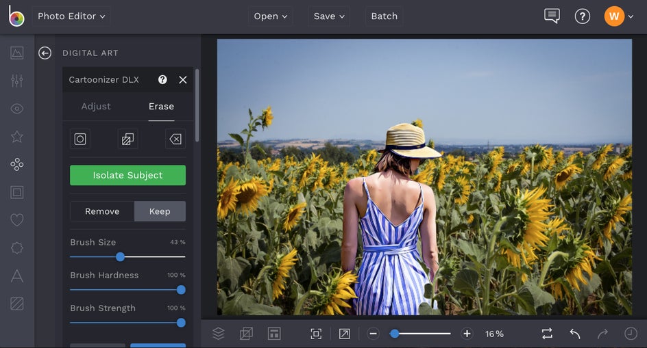how to cartoonize photos in BeFunky