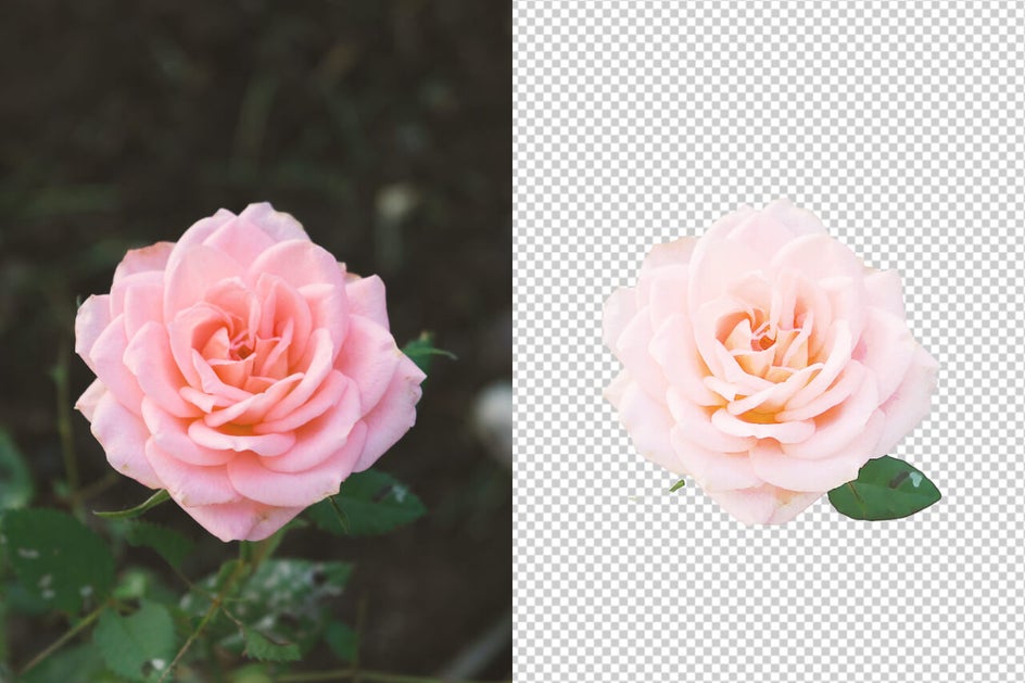 how to create your own vector graphics