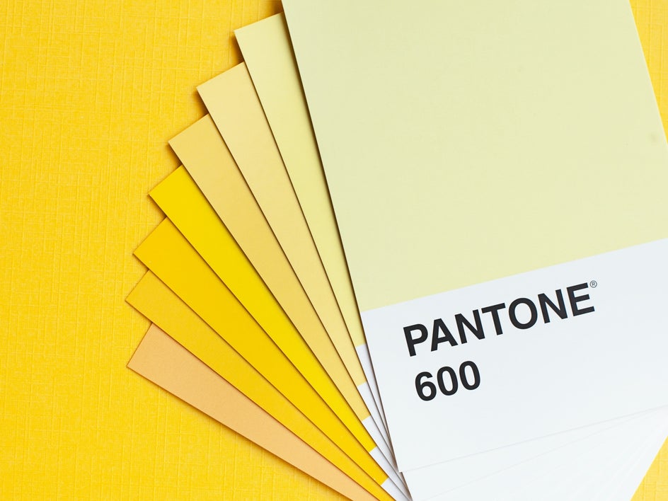 event color palette supporting